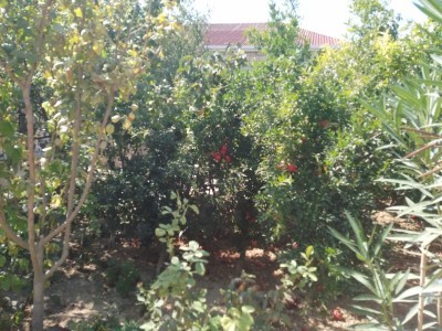 image 375927