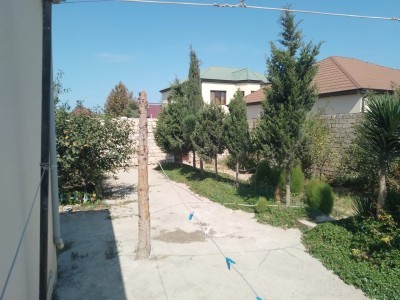 image 375927