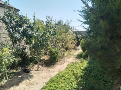 image 375927