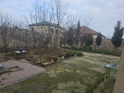 image 375927