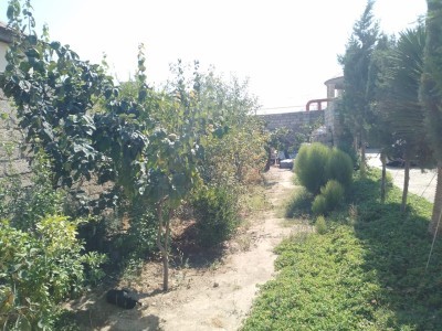 image 375927