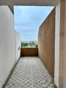 image 375929