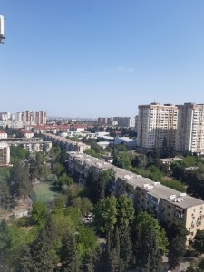 image 375944