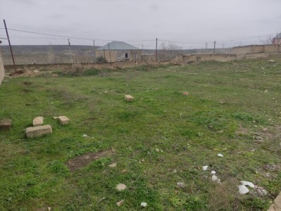 image 375949
