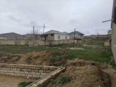 image 375949
