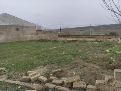 image 375949