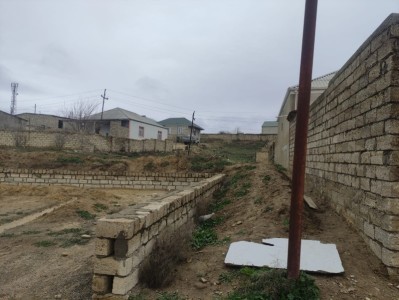 image 375949