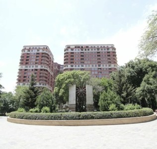 image 375952