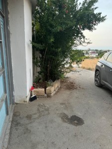 image 375954