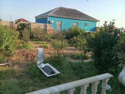 image 375958