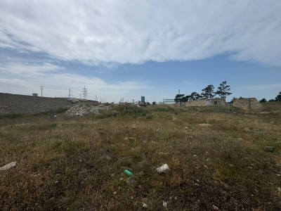 image 375963