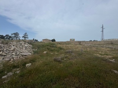 image 375963