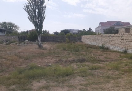 image 375969
