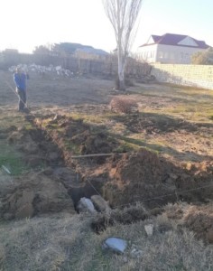 image 375969