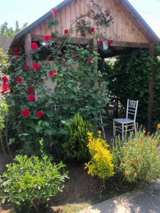 image 375975