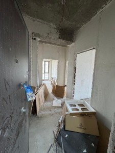 image 375977