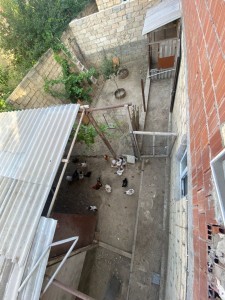 image 375980