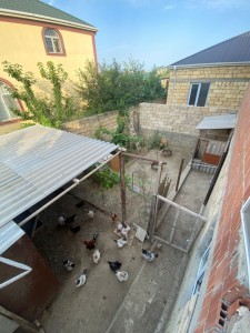 image 375980