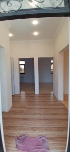 image 375981