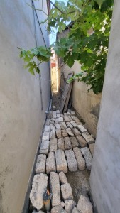 image 375982