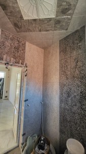 image 375982