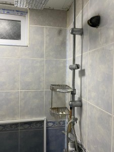 image 375987