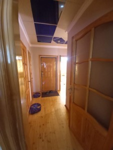 image 375988