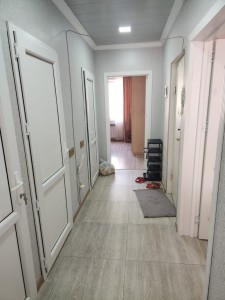 image 376001