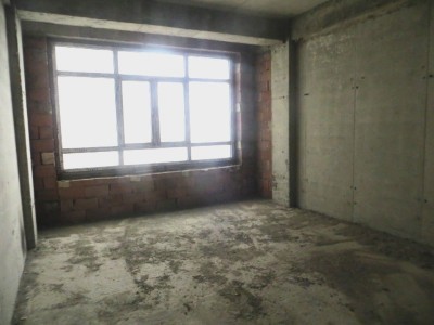 image 376003
