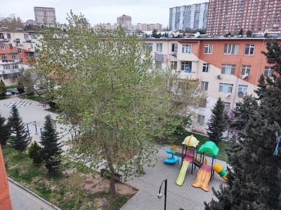 image 376005