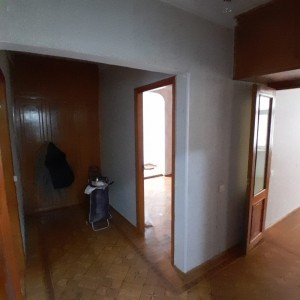 image 376006
