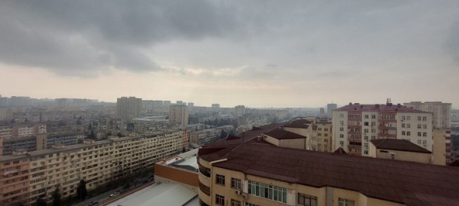 image 376010
