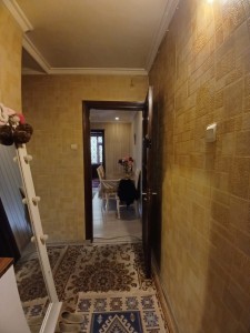 image 376012
