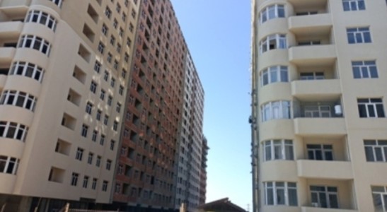image 376014