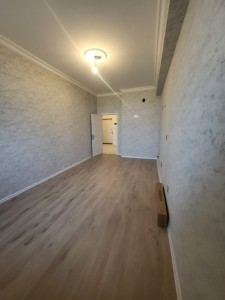 image 376018