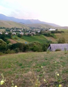 image 376023
