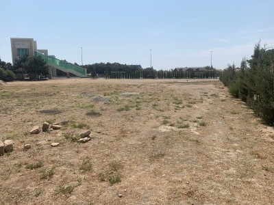 image 376041