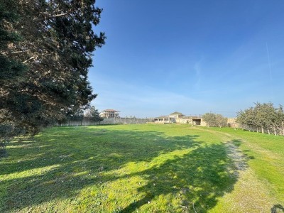 image 376050