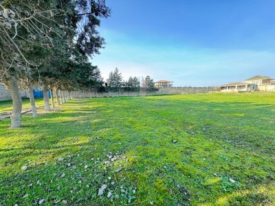 image 376050