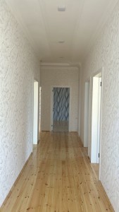 image 376051
