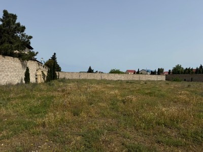 image 376059