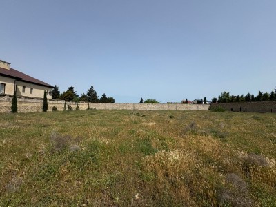 image 376059