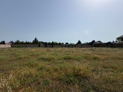 image 376059