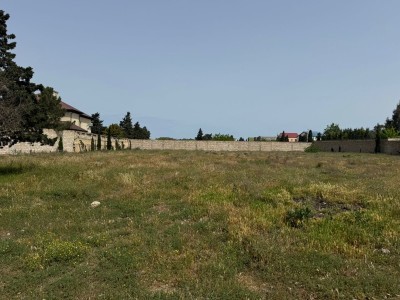 image 376059