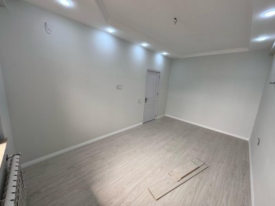 image 376065