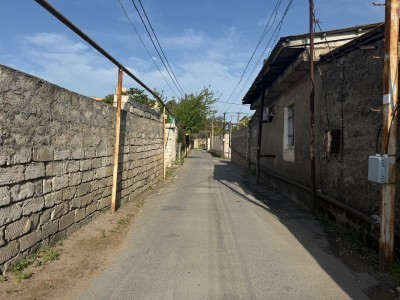 image 376066