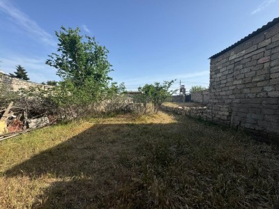 image 376066