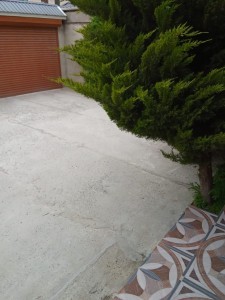 image 376069