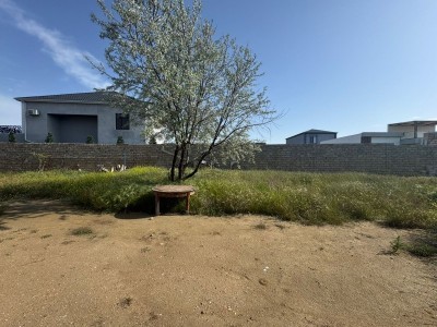 image 376075