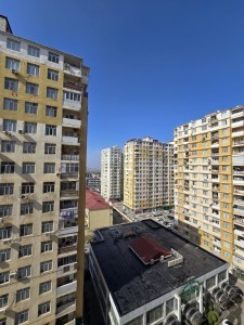 image 376077